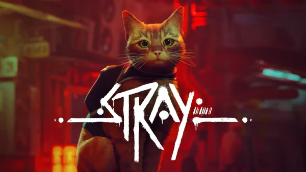 Stray's foto | GameX |  BizneCubano